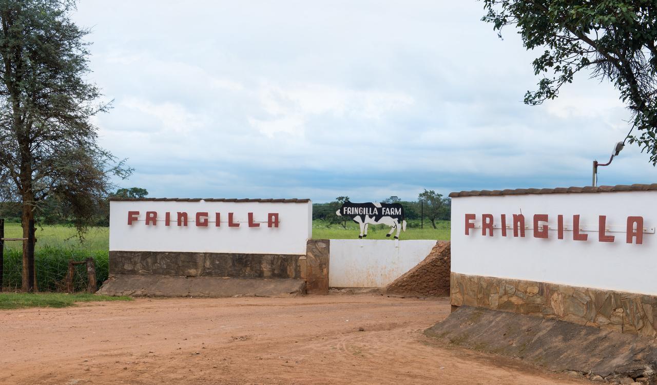 Fringilla Lodge Chisamba Kültér fotó