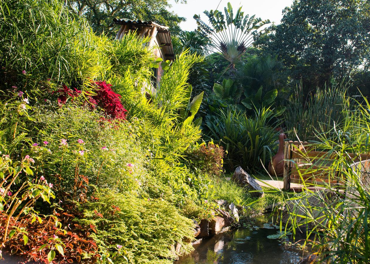 Fringilla Lodge Chisamba Kültér fotó