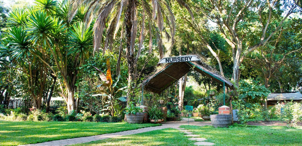 Fringilla Lodge Chisamba Kültér fotó