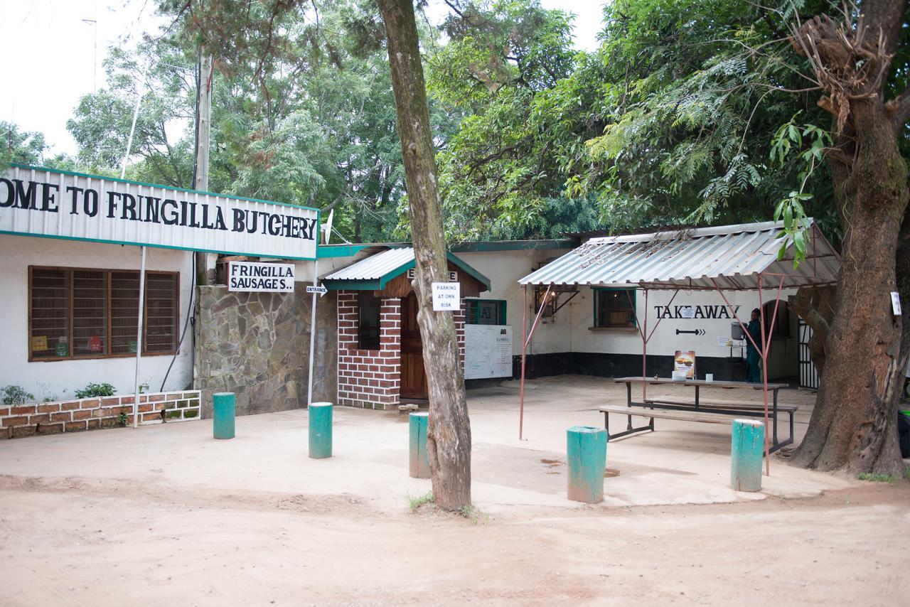 Fringilla Lodge Chisamba Kültér fotó